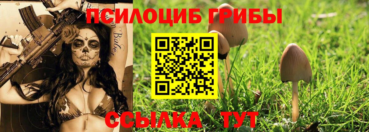 Галлюциногенные грибы мухоморы  Вход с VPN  Стрежевой  Псилоцибиновые грибы Psilocybe 