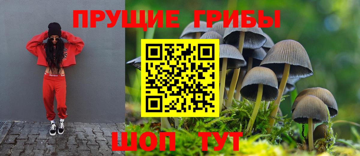 Галлюциногенные грибы GOLDEN TEACHER Стрежевой